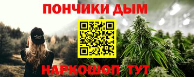 прущие грибы Краснокаменск