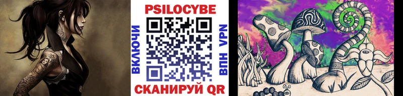 Псилоцибиновые грибы прущие грибы  цена   MEGA онион  Кимры 