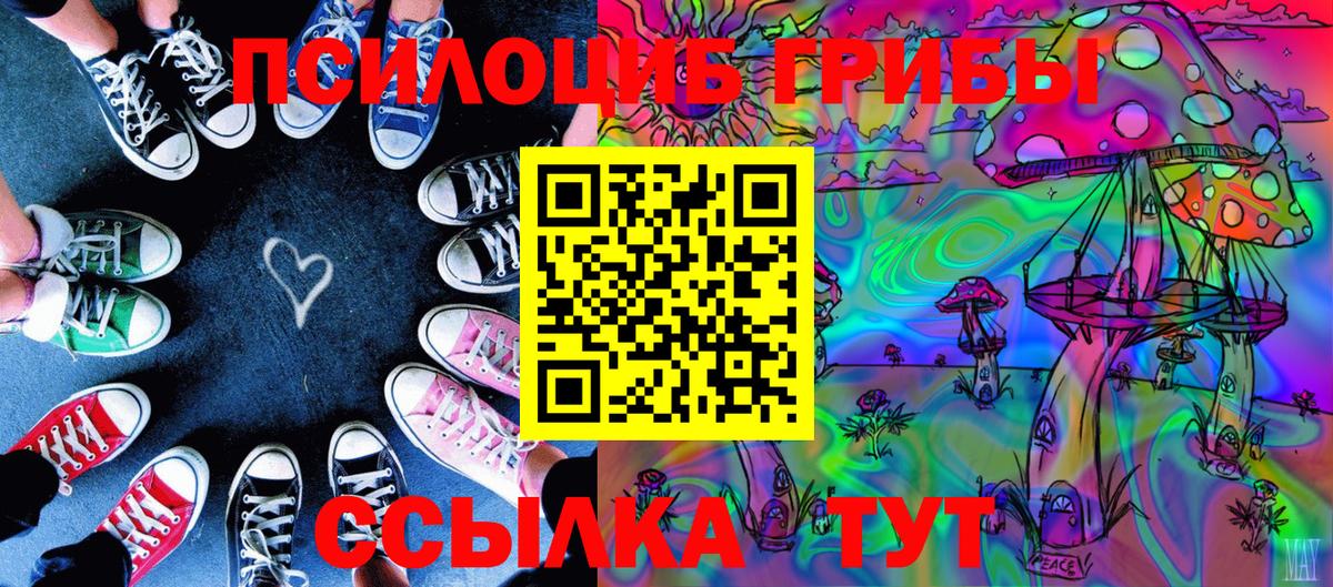 Галлюциногенные грибы Psilocybe  Вход с VPN  Кимры 